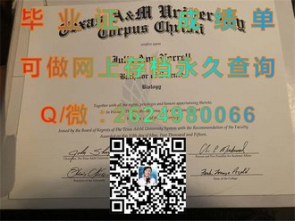 《堪培拉理工学院文凭：开启你的未来，成就非凡职业起点》