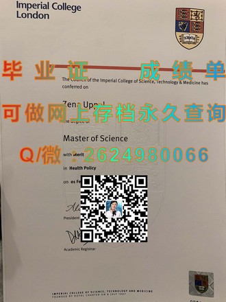 《新加坡共和理工学院文凭：开启国际教育新篇章的秘密武器》