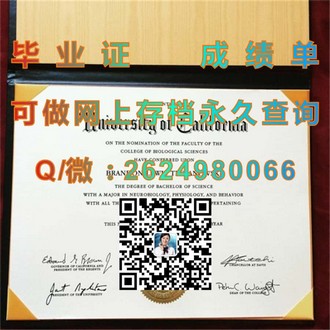 《诺丁汉大学文凭：全球认可，成就卓越，开启你的辉煌未来》