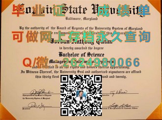 《揭秘伦敦大学文凭：全球认可的学术成就象征》