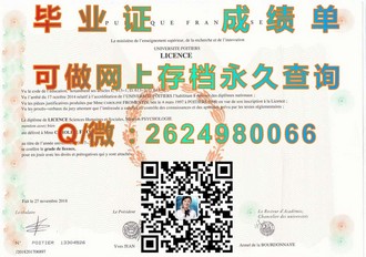 《都柏林城市大学文凭：全球认可的学术通行证，开启你的国际职业生涯》）